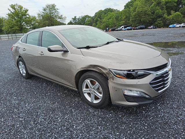  CHEVROLET MALIBU 2023 tan