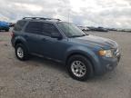 2011 Ford Escape Xlt   for Sale in Earlington, KY - Top/Roof