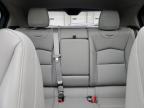 2023 Cadillac Xt4 Luxury for Sale in Louisville, KY - Hail