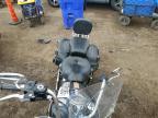 2009 Harley-Davidson Flstc  for Sale in Brighton, CO - Side