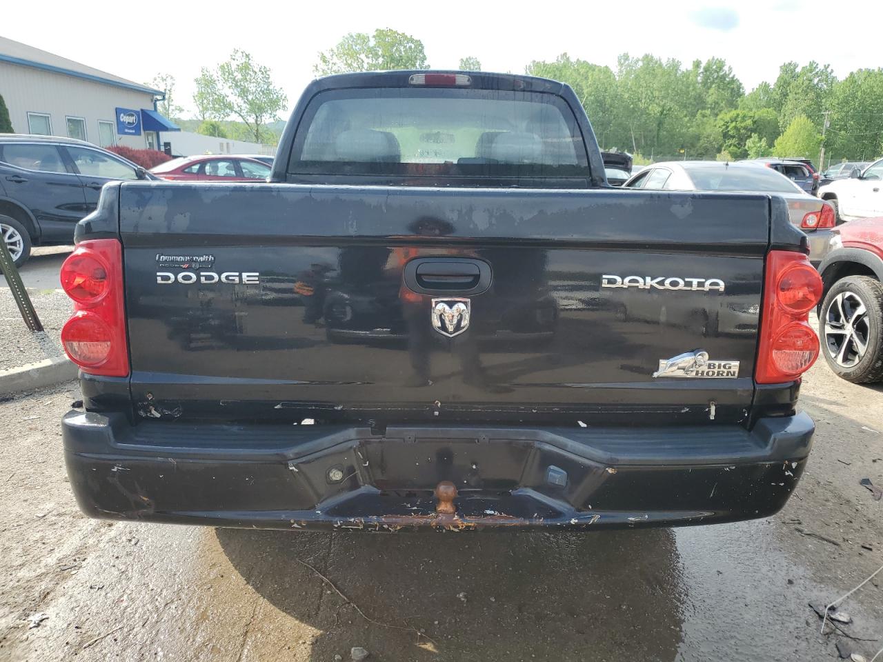 2011 Dodge Dakota Slt VIN: 1D7RE3GK2BS636322 Lot: 53151625