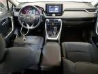 2019 TOYOTA RAV4 XLE for sale at Copart AB - EDMONTON