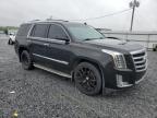 2015 Cadillac Escalade Luxury zu verkaufen in Gastonia, NC - Front End