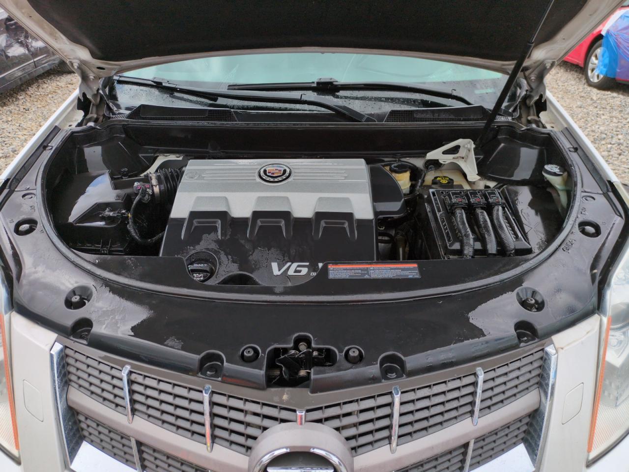 2010 Cadillac Srx Premium Collection VIN: 3GYFNFEY0AS530437 Lot: 56390565