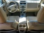 2009 Ford Escape Xlt продається в Seaford, DE - Rear End