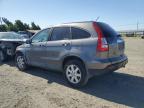 2009 Honda Cr-V Exl zu verkaufen in American Canyon, CA - Front End