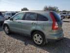 Riverview, FL에서 판매 중인 2011 Honda Cr-V Exl   - Rear End