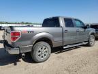 2013 Ford F150 Supercrew продається в Nisku, AB - Front End