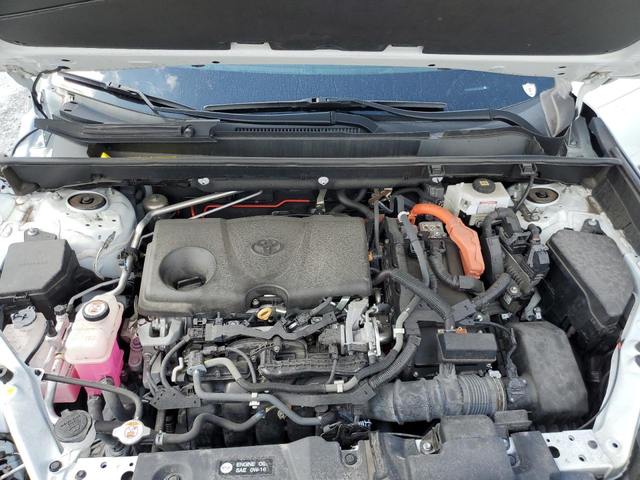 2021 Toyota Rav4 Xle VIN: 4T3RWRFV6MU038850 Lot: 56745395