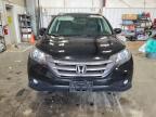 2013 Honda Cr-V Exl de vânzare în Mcfarland, WI - Hail