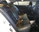 2014 Kia Cadenza Premium იყიდება Waldorf-ში, MD - Top/Roof