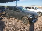 2025 Hyundai Tucson Blue   for Sale in Phoenix, AZ - Rear End