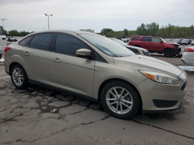  FORD FOCUS 2015 Колір засмаги
