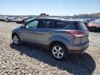 Appleton, WI에서 판매 중인 2014 Ford Escape Se - Side