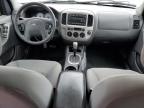 2006 Ford Escape Xlt for Sale in Earlington, KY - Hail