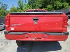 2008 Dodge Dakota Quad Slt for Sale in Waldorf, MD - Front End