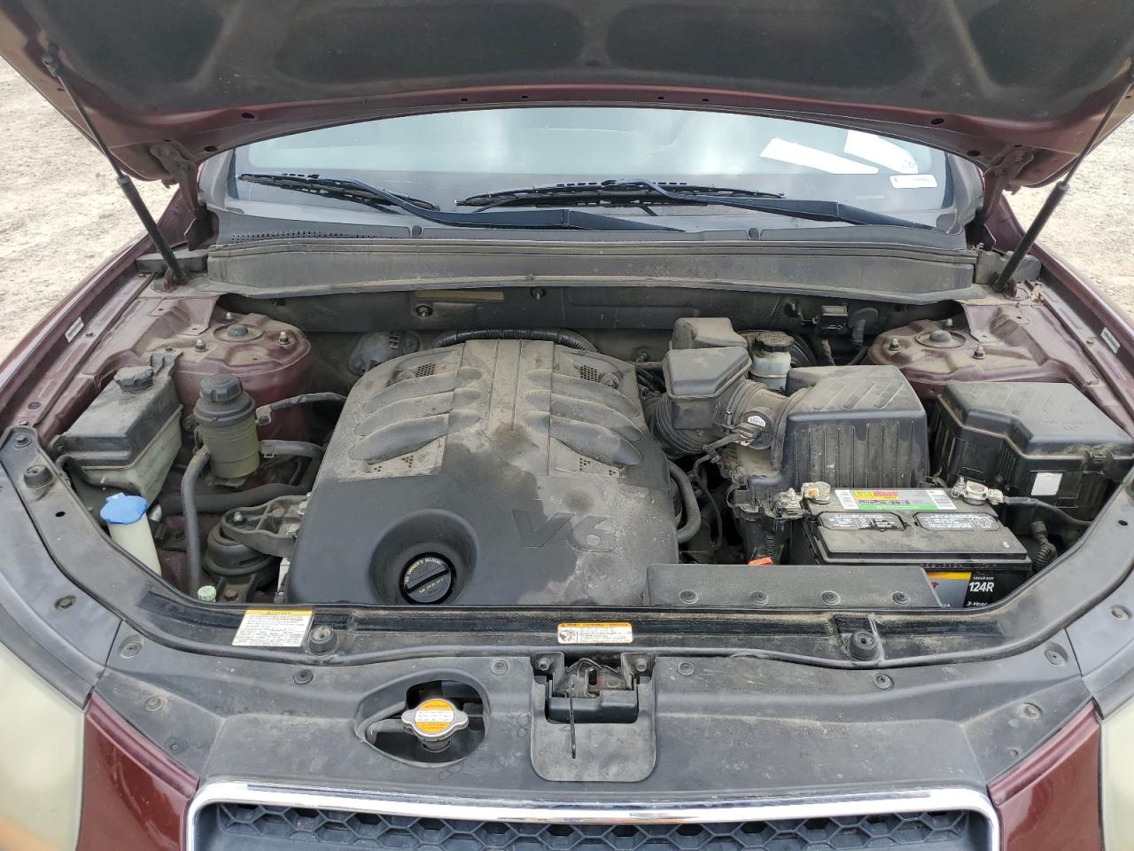2009 Hyundai Santa Fe Se VIN: 5NMSH13E49H287094 Lot: 57082395