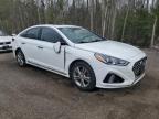 2019 HYUNDAI SONATA LIMITED   à vendre chez Copart ON - COOKSTOWN
