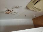 1993 Other Rv Holiday Rm for Sale in Davison, MI - Top/Roof