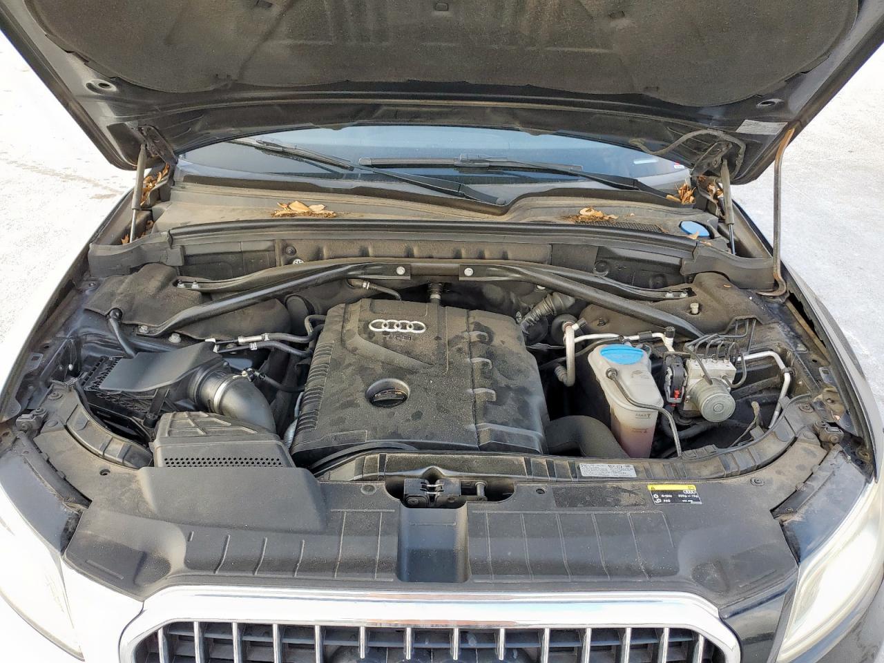 2013 Audi Q5 Premium Plus VIN: WA1LFAFP5DA097048 Lot: 57334065