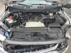 2023 FORD F150 SUPERCREW   for sale at Copart NB - MONCTON