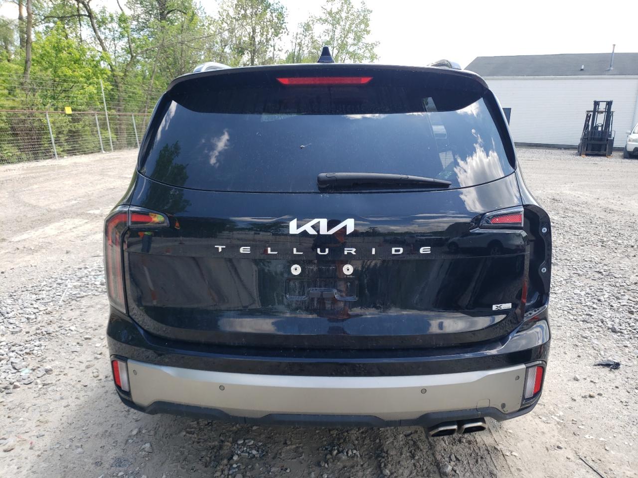 2023 Kia Telluride Ex VIN: 5XYP3DGCXPG375735 Lot: 56676885
