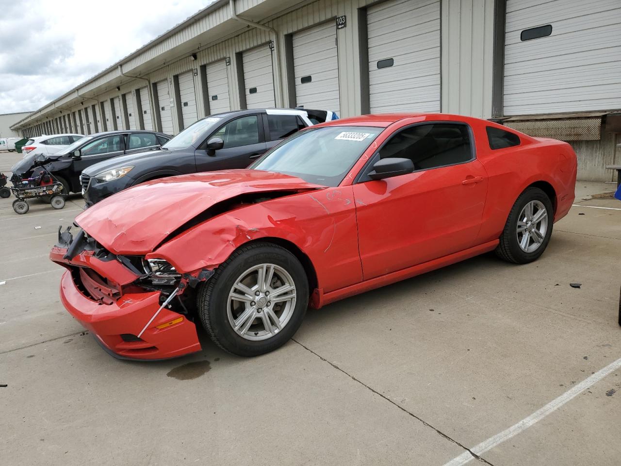 2014 Ford Mustang  for Sale in Louisville, KY - Front End