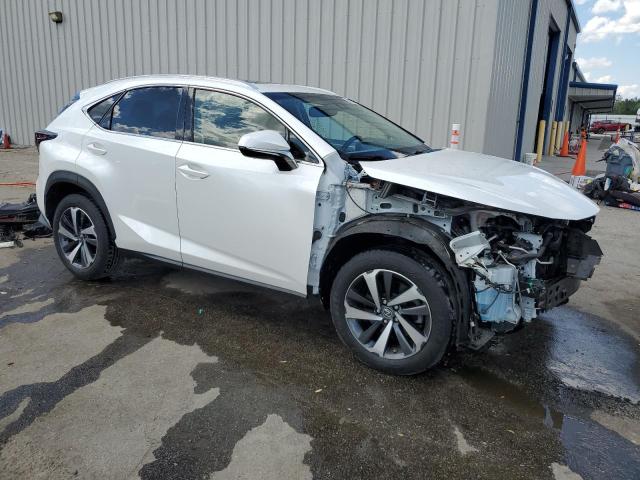  LEXUS NX 2018 Biały