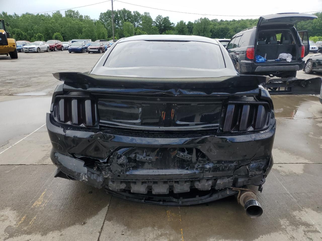 2017 Ford Mustang Gt VIN: 1FA6P8CF2H5234942 Lot: 56962025