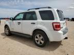 2008 Ford Escape Xlt for Sale in Andrews, TX - Front End