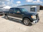Houston, TX에서 판매 중인 2010 Ford F150 Supercrew - Front End