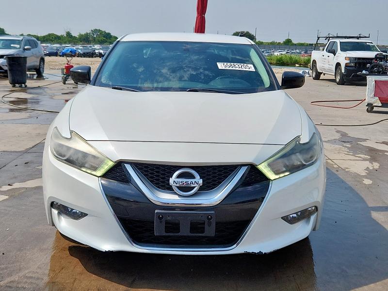  NISSAN MAXIMA 2016 Белый