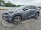 2020 Lexus Nx 300 Base იყიდება Lebanon-ში, TN - Front End