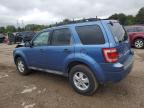 2009 Ford Escape Xlt de vânzare în Elgin, IL - Front End