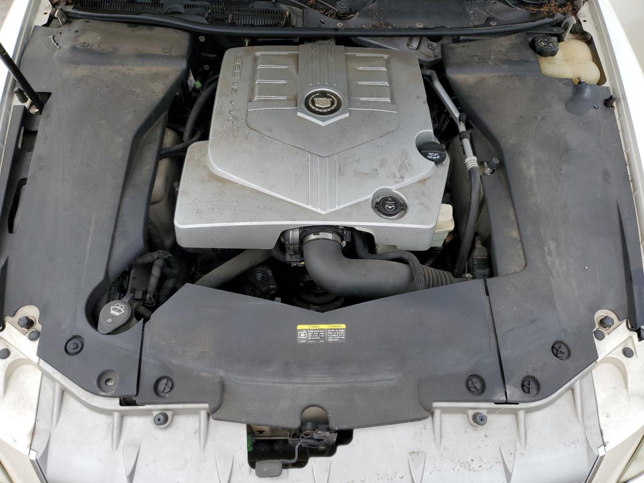 2005 Cadillac Sts VIN: 1G6DW677550169804 Lot: 56744065