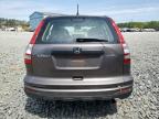 2011 Honda Cr-V Lx იყიდება Windsor-ში, NJ - Side