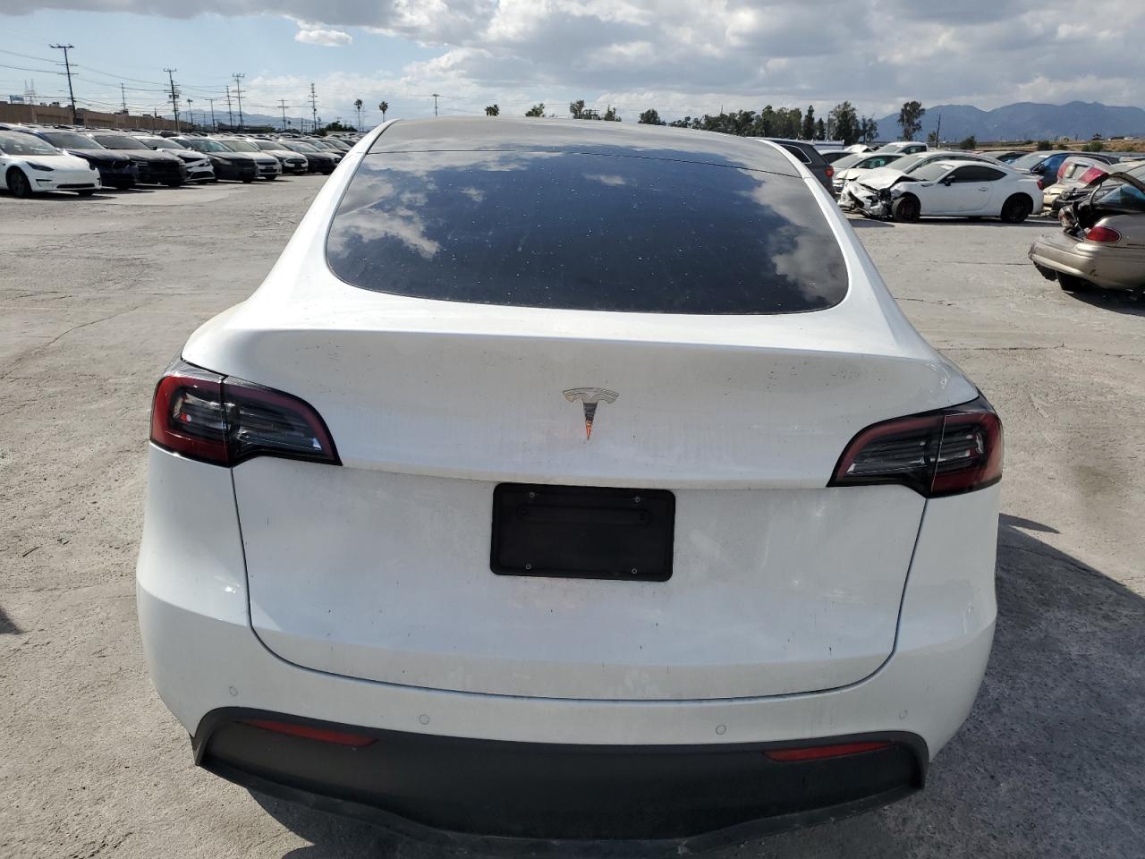 2022 Tesla Model Y VIN: 7SAYGDEE9NF434908 Lot: 56733235