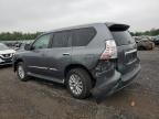 2015 Lexus Gx 460 for Sale in Hillsborough, NJ - Rear End