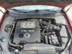2007 Nissan Maxima Se იყიდება Lawrenceburg-ში, KY - Hail