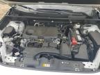 2024 Toyota Rav4 Limited for Sale in Midway, FL - Rear End