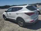 Memphis, TN에서 판매 중인 2018 Hyundai Santa Fe Sport  - Front End