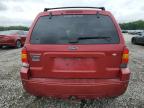 2007 Ford Escape Limited en Venta en Memphis, TN - Minor Dent/Scratches