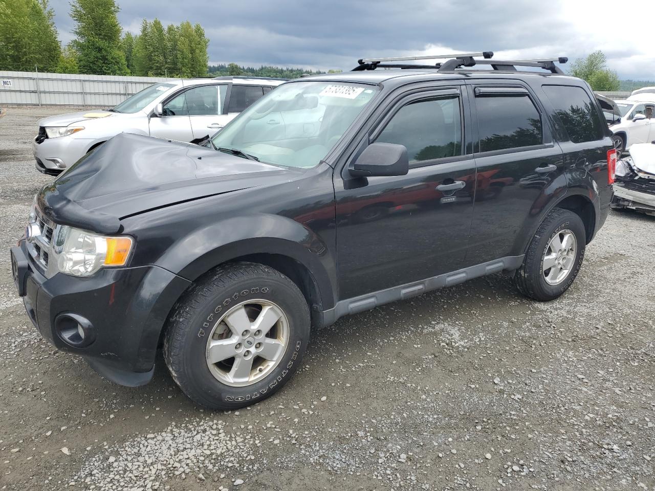 2011 Ford Escape Xlt na sprzedaż w Arlington, WA - Front End