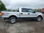 2012 Ford F150 Supercrew for Sale in London, ON - Front End