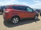 2016 Ford Escape Se for Sale in Brighton, CO - Rear End
