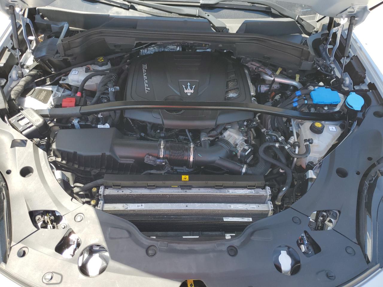 2023 Maserati Grecale Modena VIN: ZN682AVM5P7407858 Lot: 56486945