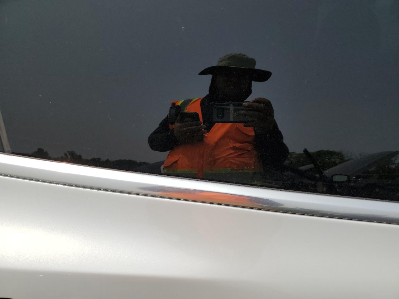 2020 Tesla Model 3 VIN: 5YJ3E1EB9LF665225 Lot: 56965075