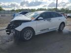2015 Hyundai Sonata Sport zu verkaufen in Louisville, KY - Front End