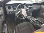 2014 Ford Mustang    for Sale in Lebanon, TN - Front End