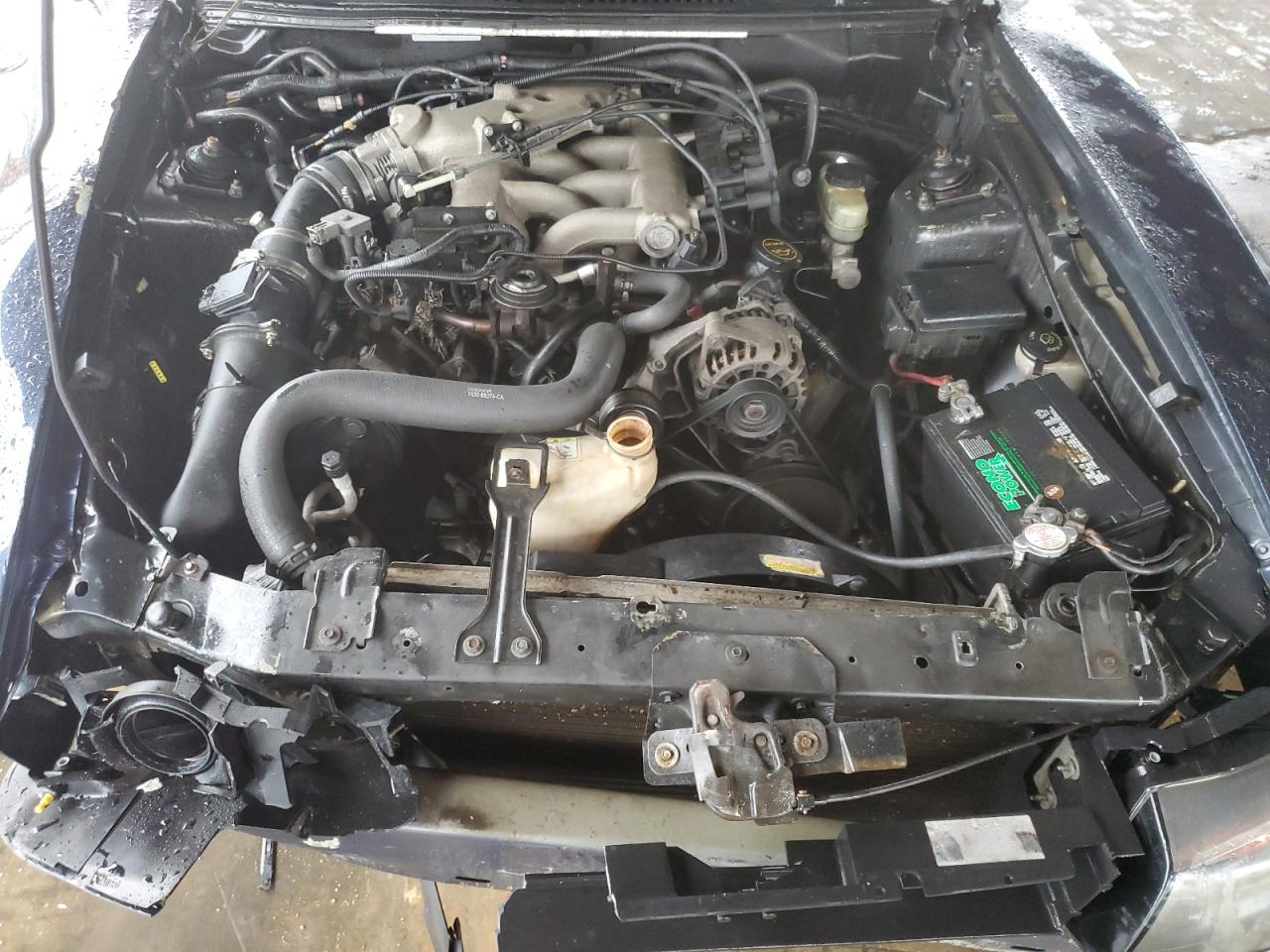 2002 Ford Mustang VIN: 1FAFP40482F155448 Lot: 56384085